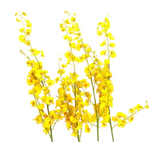 KÜNSTLICHE ORCHIDEEN Seidenblumen Orchideen Gelb 4 Zweige 100 cm Dekoration Top !