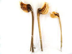 Trockenblumen Silberblatt Gigante 25 Stiele Natur Dekoration