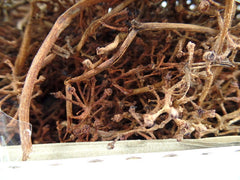 Trockenblumen Wurzel Zweige Natur 700 gr. Naturmaterial Deko