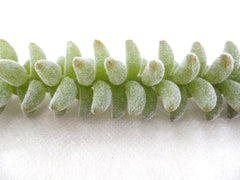 7372760a-ab1b-40b1-aab1-31b81e5f4726