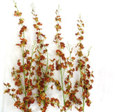 Künstliche Seidenblumen Orchideen Braun Rost 4 Zweige 100 cm Dekoration Top