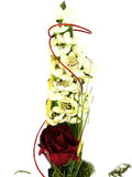 STRAUß ROTE ROSE Wildlotus Bärchenfigur Valentinstecker Kunstblumen 50 cm