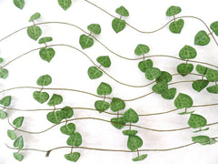 3 x Künstliche Ranken Busch Zweig grün Blätter Textil Dekoration 65 cm Lang