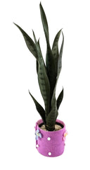 KÜNSTLICHE PFLANZE SANSEVERIE Bogenhanf Poliana Getopft 50 cm Zimmerpflanze