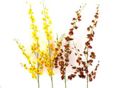 Künstliche Seidenblumen Orchideen Gelb / Braun 4 Zweige 100 cm Dekoration Top !