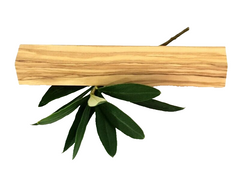 Olivenholz Schnitzholz Rohling Massivholz 20x20x130 mm 8 Stück Carving Kantel