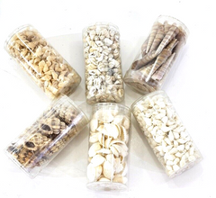 Muscheln Mix 420 g in 6 Box Shell maritime Dekoration Basteln Geschenk