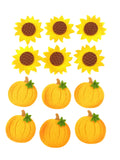 STREUBLUMEN SONNENBLUMEN Kürbis 5 cm je 10 Stück einzeln in Folie Klebepunkt