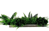 WANDBILD FARN Wand Deko Rahmen mit künstlichen Blumen Farn Dekoration Wohnambiente