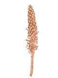TROCKENBLUMEN PALMBLÜTE kupferfarben Cacho Dekoration ca. 85 cm Lang
