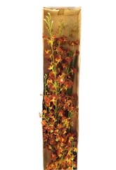 Künstliche Seidenblumen 1 Karton mit 12 Rostbraunen Orchideen 100 cm Dekoration