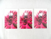 3 - er Set Karten Pinke Gerbera Fleurop Edition Gruß- Glückwunschkarten Blumen