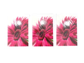 FLEUROP 3 - er Set Karten Pinke Gerbera Edition Gruß- Glückwunschkarten Blumen