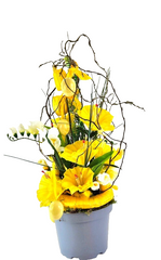 Casa-Poador Ostergesteck Kunststoff Topf Osterglocken Kunstblumen Frühling Deko