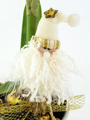 Weihnachtsgesteck Tischschmuck Amaryllis Weiß Gold Sterne Lampions Band