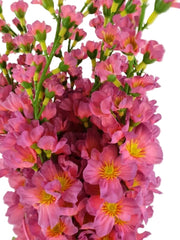 CASA - POADOR GESTECK KUNSTBLUME Rosa Blüten Metallgefäß 25 cm Hoch Dekoration