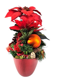 CASA - POADOR WEIHNACHTSGESTECK ellipse rote Weihnachtssterne künstlich Dekoration