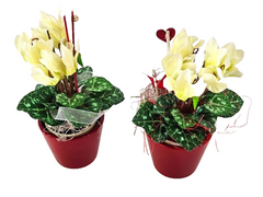 Topfblumen Alpenveilchen künstlich 2 Stück Weiß Rot Kunstblumen 20 cm Hoch