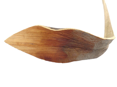 10 Shoe Horn Natural Natur Brauntöne Trockenblätter 10 Stück