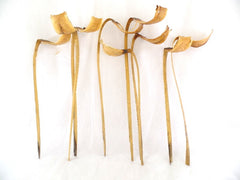 Trockenblumen Silberblatt Gigante 25 Stiele Natur Dekoration