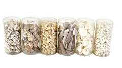 Muscheln Mix 420 g in 6 Box Shell maritime Dekoration Basteln Geschenk