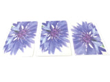 FLEUROP 3 - er Set Karten Blaue Kornblume Edition Gruß- Glückwunschkarten Blumen