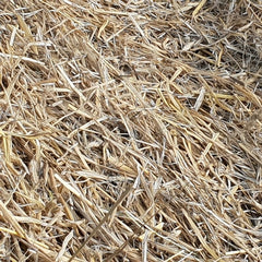 Casa-Poador Strohkranz- Ø70cm Strohringe Strohrömer Rohling Kranz Natur Deko