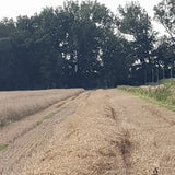 CASA - POADOR STROHKRANZ Ø 90 cm Strohring Strohrömer Rohling Natur