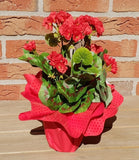 CASA - POADOR GERANIE Künstliche rote Pelagonie Kunstblume Blume Geschenk