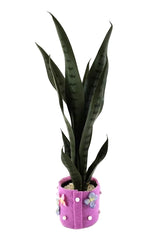 KÜNSTLICHE PFLANZE SANSEVERIE Bogenhanf Poliana Getopft 50 cm Zimmerpflanze