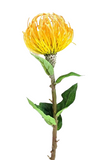 KUNSTBLUME NADELKISSEN künstliches Nadelkissen orange 70 L x 10 cm Einzelblume Dekoration