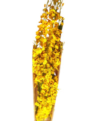 Künstliche Seidenblumen 1 Karton mit 12 gelben Orchideen 100 cm Dekoration