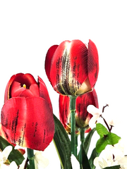 Casa-Poador Topfblume Tulpen Ginster Efeu künstlich Rot Weiß Kunstblume Deko