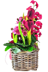 Casa-Poador Ostergesteck Kunstblumen Rosa Korb Tulpe Dahlien Dekoration Geschenk