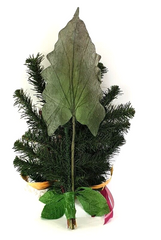 Grabschmuck Trockenblumen Seide Mix Rosa Weiß Natur Naturmaterial Exoten Strauß