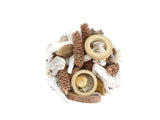 NATUR DEKO Sortiment Mix 250 g Zapfen Baum / Holzscheiben Äste Bambusringe Igel