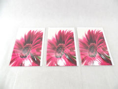 3 - er Set Karten Pinke Gerbera Fleurop Edition Gruß- Glückwunschkarten Blumen