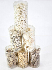 Muscheln Mix 420 g in 6 Box Shell maritime Dekoration Basteln Geschenk