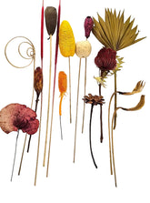 CASA - POADOR EXOTEN Mix 15 tlg. Eigen Herstellung Grabschmuck