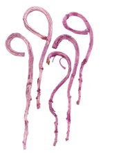 HIRTENSTAB BANANA STICK 5 Stück Brombeer Frosted ca. 60 cm Lang Dekoration