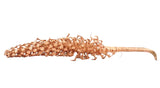 TROCKENBLUMEN PALMBLÜTE kupferfarben Cacho Dekoration ca. 85 cm Lang