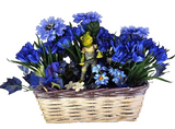 CASA - POADOR GESTECK Blau Kunstblumen Krokus Froschfigur Dekoration