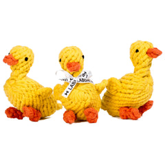 LABONI - Volentis GmbH - Emma Ente