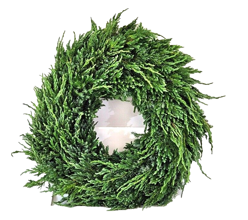 Kranz Wacholder Rohling halbrund Juniperus Adventskranz Frisch 35 cm Dekoration