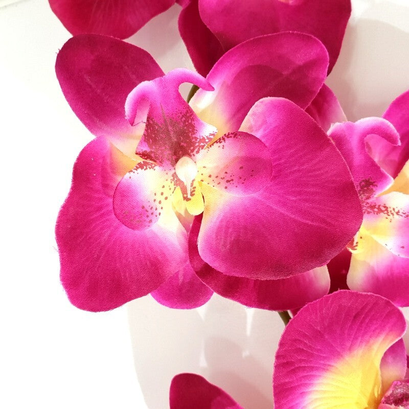 Orchideenblätter Basis wie echt 3 Paar künstlich Luftwurzeln &  1 Orchideenstiel