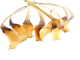 TROCKENBLUMEN SILBERBLATT 25 Stiele Gigante Natur Dekoration Grabschmuck Wohnaccessoires