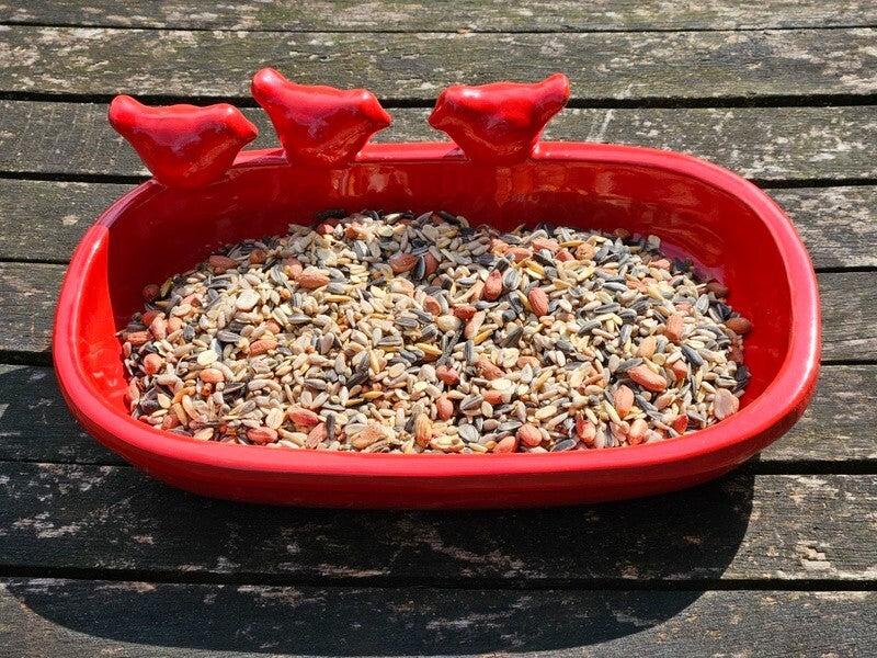 Vogeltränke Vogelbad Rot Garten Wasserschalen Vogelbecken Tiertränke Geschenk