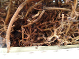 TROCKENBLUMEN WURZEL Zweige Natur 700 g Naturmaterial Dekoration