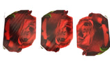 FLEUROP 3 - er Set Karten Rote Rose Edition Gruß- Glückwunschkarten Blumen