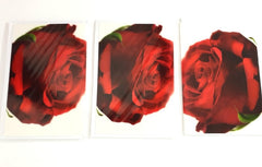 3 - er Set Karten Rote Rose Fleurop Edition Gruß- Glückwunschkarten Blumen